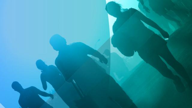 Become a provider: Share your research training through the Research Capability Hub