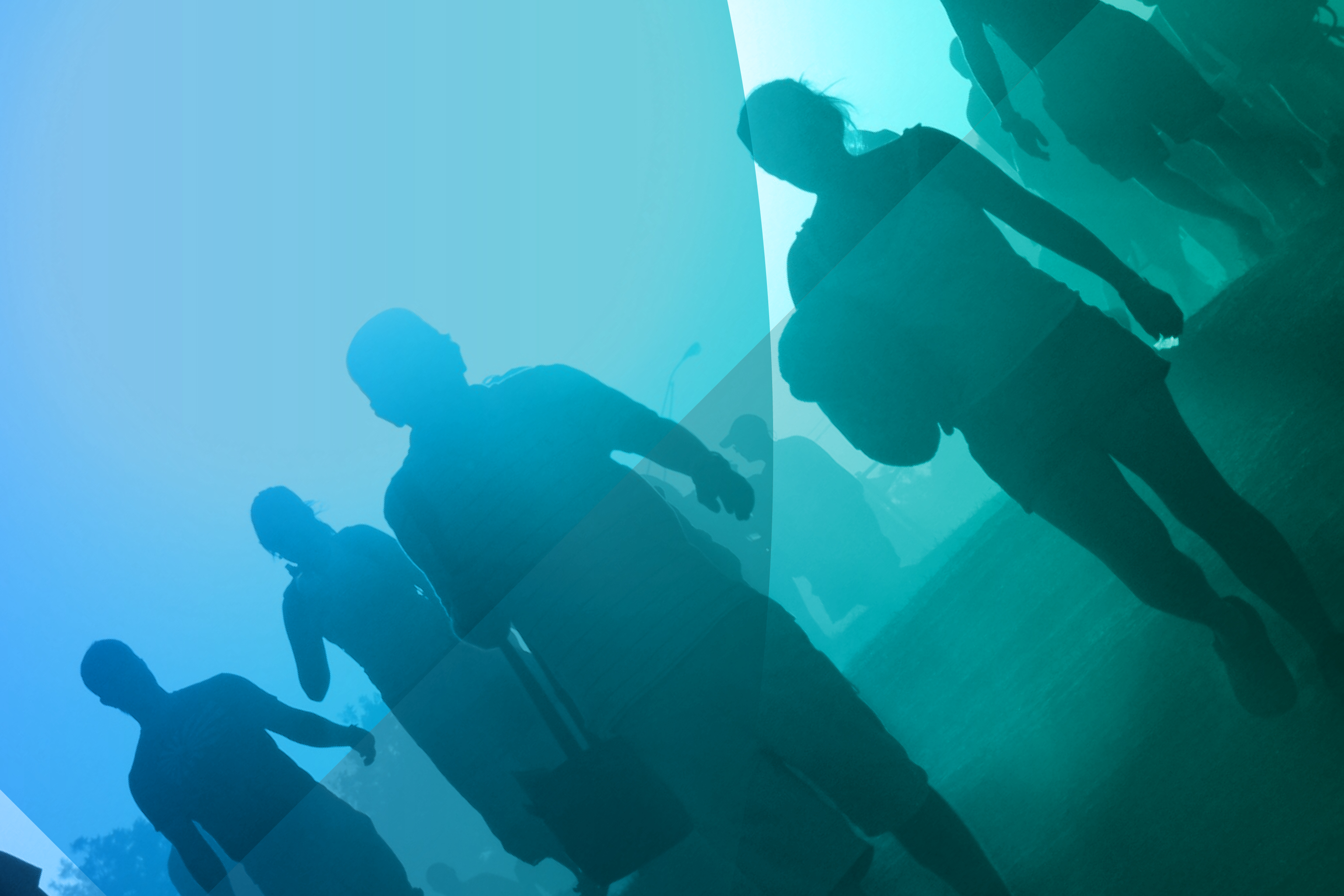 Become a provider: Share your research training through the Research Capability Hub