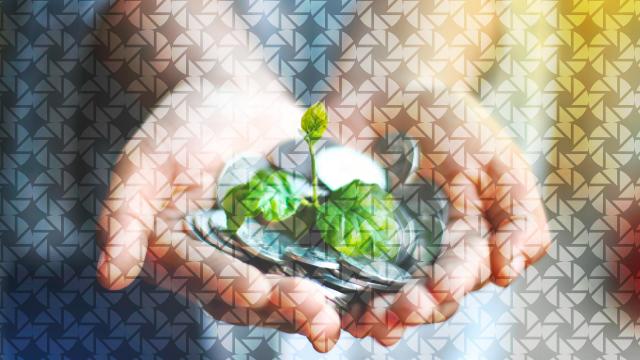 The Flexible Fund